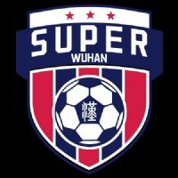 �人�������򳬼�������У���1�� �人����ְҵѧԺ0.1������ѧ20250926