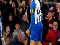 Ӣ�� ����ķvs��ɭ�� (���) 20231231