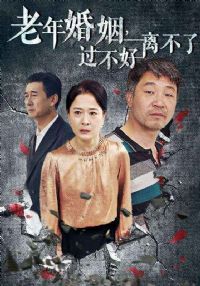 ��������������벻��