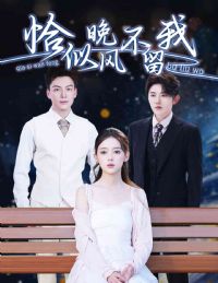 ǡ�����粻����